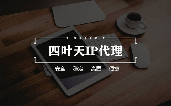 【那曲代理IP】如何快速搭建代理IP？怎么检查代理的效果？