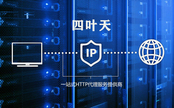 【那曲代理IP】代理IP的主要用途和使用注意事项